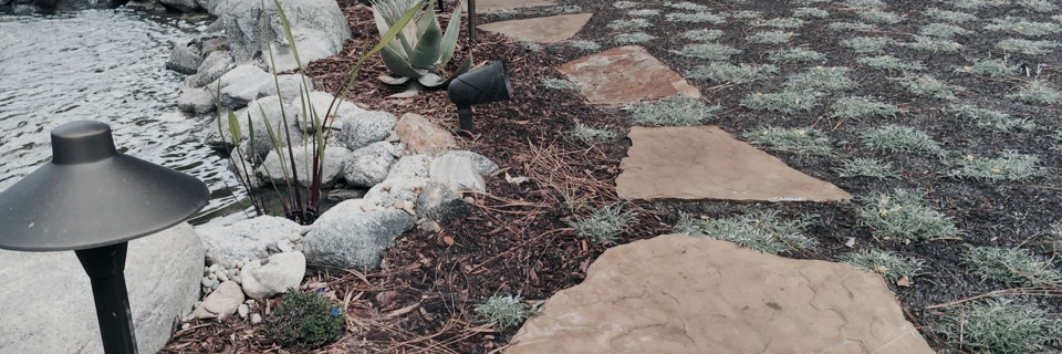 We are experts in lawn alternatives
Call Us (310) 218-6804