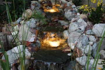 Low Voltage Lighting