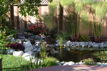 Pond Building
